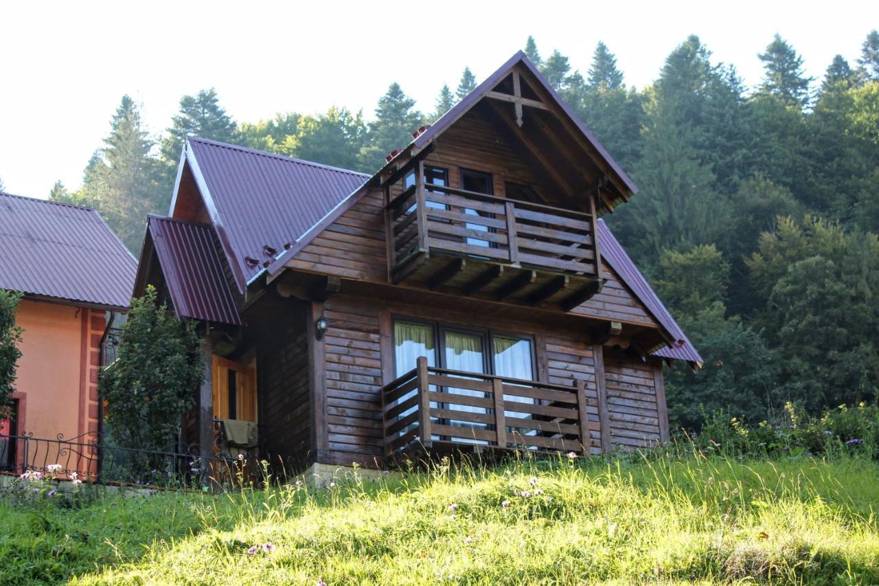 Cottage "Karpatske Shale" Jaremtsje Buitenkant foto