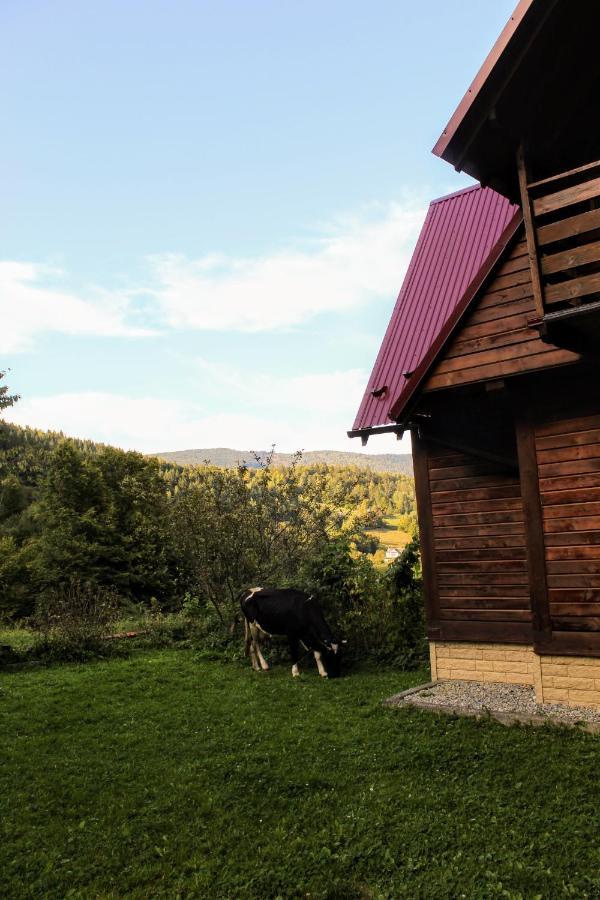 Cottage "Karpatske Shale" Jaremtsje Buitenkant foto