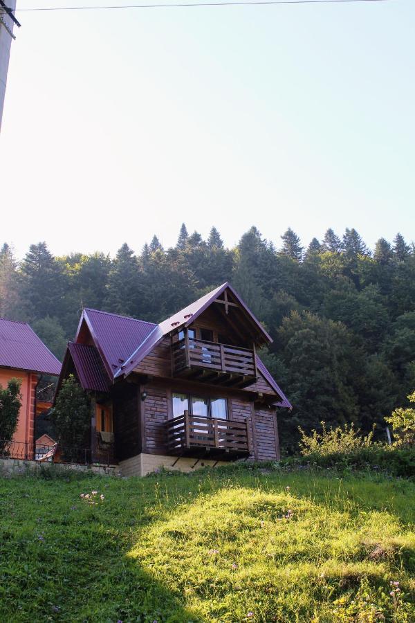 Cottage "Karpatske Shale" Jaremtsje Buitenkant foto