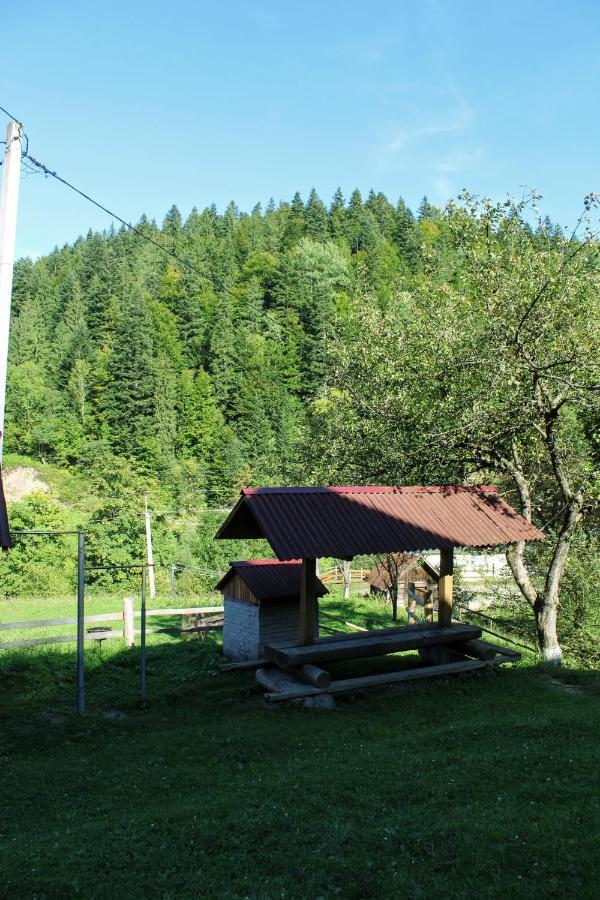 Cottage "Karpatske Shale" Jaremtsje Buitenkant foto