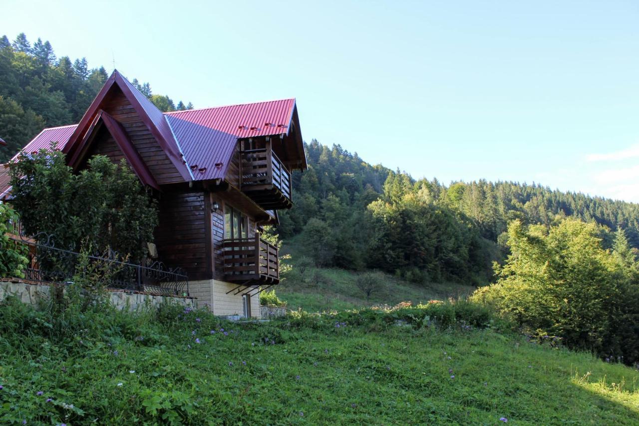 Cottage "Karpatske Shale" Jaremtsje Buitenkant foto