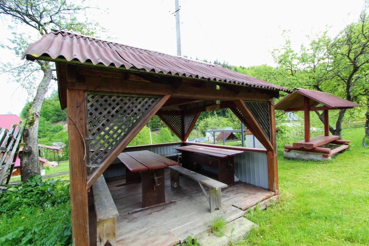 Cottage "Karpatske Shale" Jaremtsje Buitenkant foto