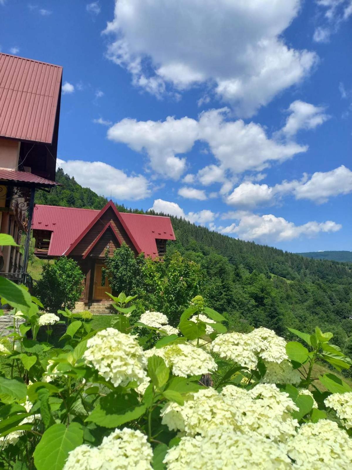 Cottage "Karpatske Shale" Jaremtsje Buitenkant foto