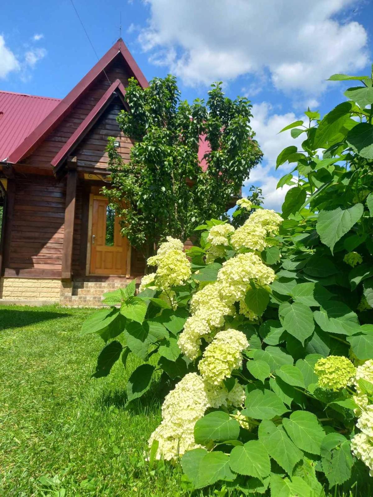 Cottage "Karpatske Shale" Jaremtsje Buitenkant foto